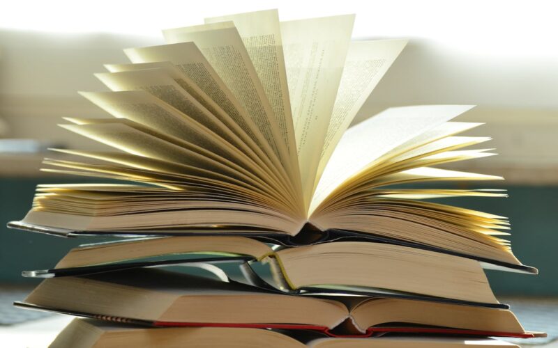 Nuevo Libro Revoluciona la Integración Estratégica entre Precios y Marketing