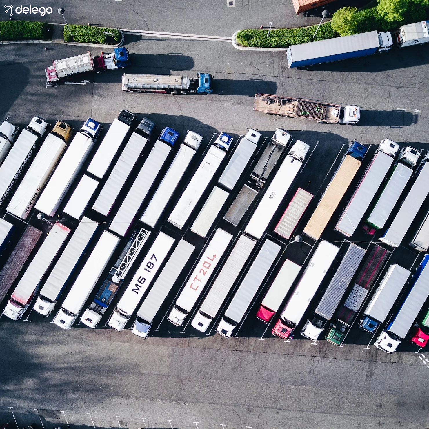 Delego: Líder en optimización de rutas en México